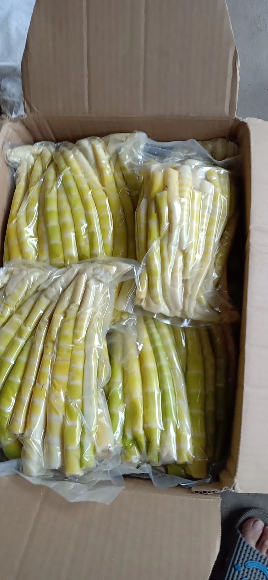 雷竹笋 竹笋 三月笋 带壳