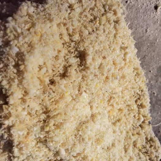 正定县玉米渣  熟玉米