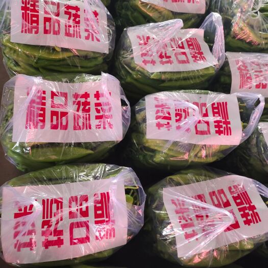 邯郸尖椒 福建省漳州市华安县