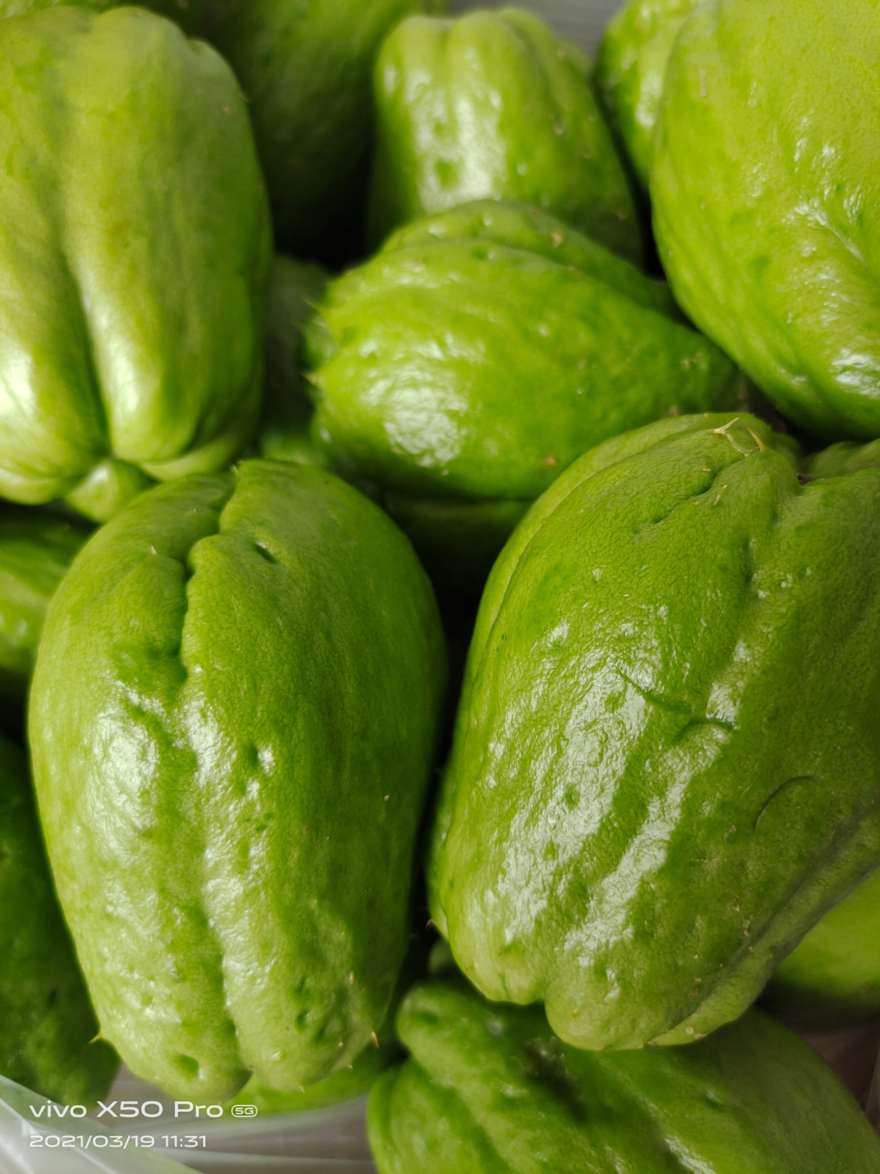 蔬菜，新鲜佛手瓜