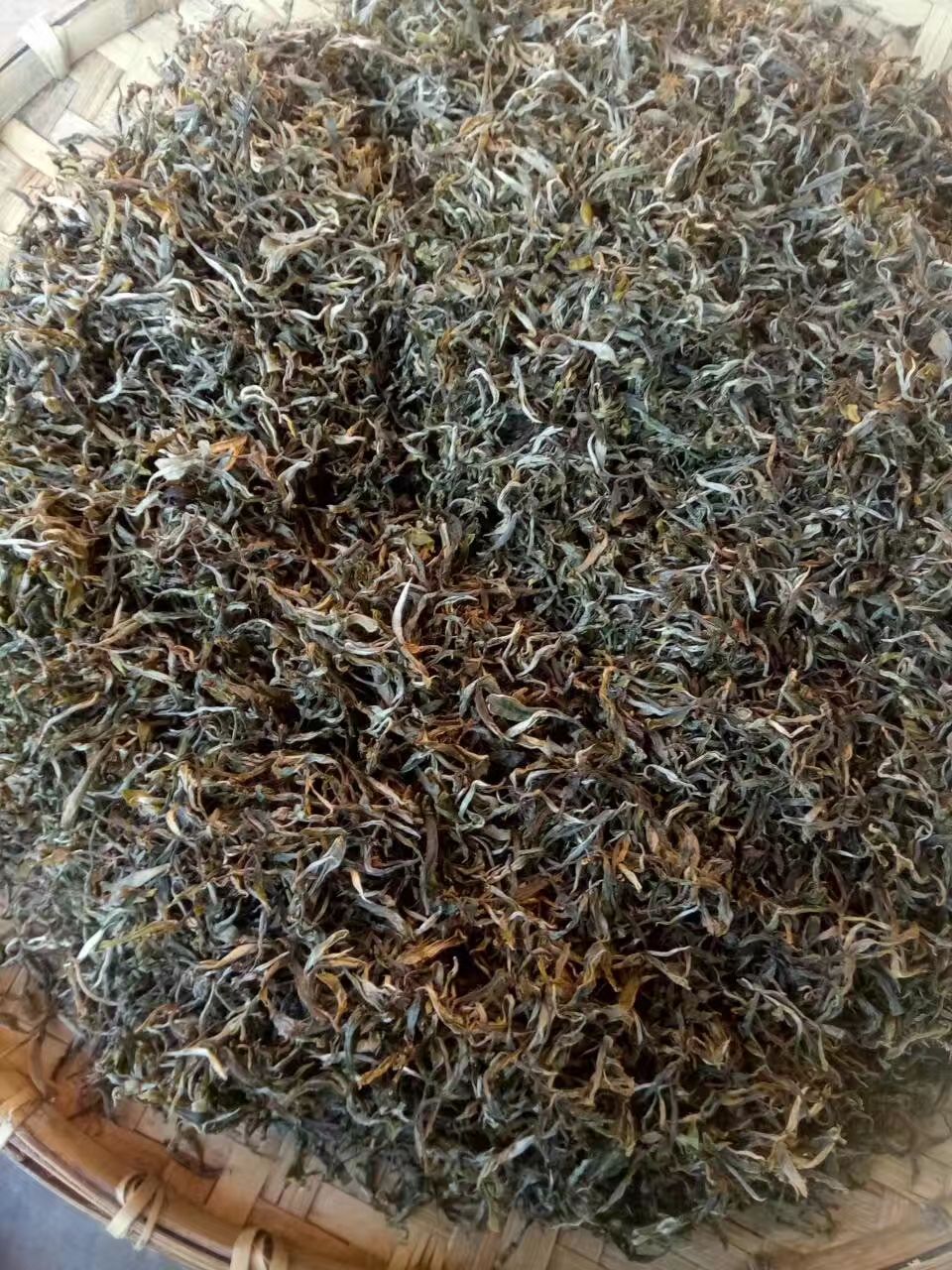  纯生态绿茶
