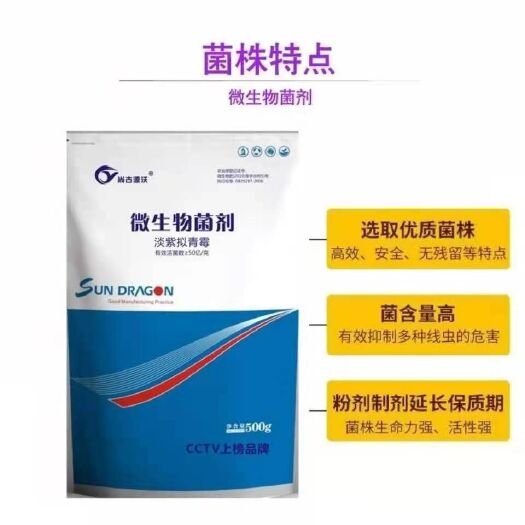 邯郸菌肥  淡紫拟青霉  微生物菌剂  防治根线虫  杜进植物生长