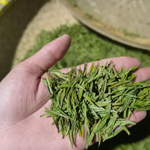 安吉县 安吉白茶