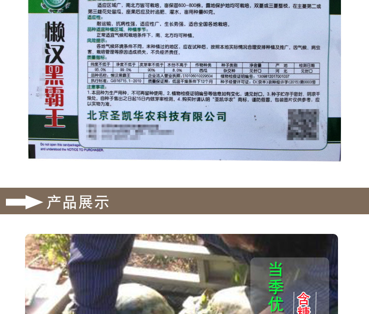 黑皮西瓜种子懒汉黑霸王西瓜黑皮瓜农田菜园大果型甜红心椭