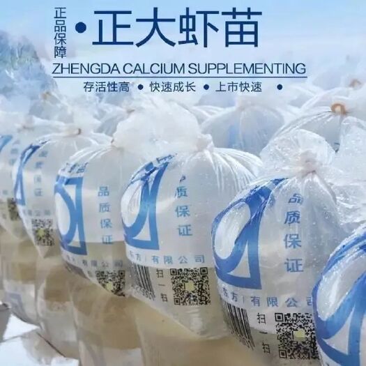湛江对虾苗  快大品系（南美白对虾）虾苗，世界500强企业专业高品质