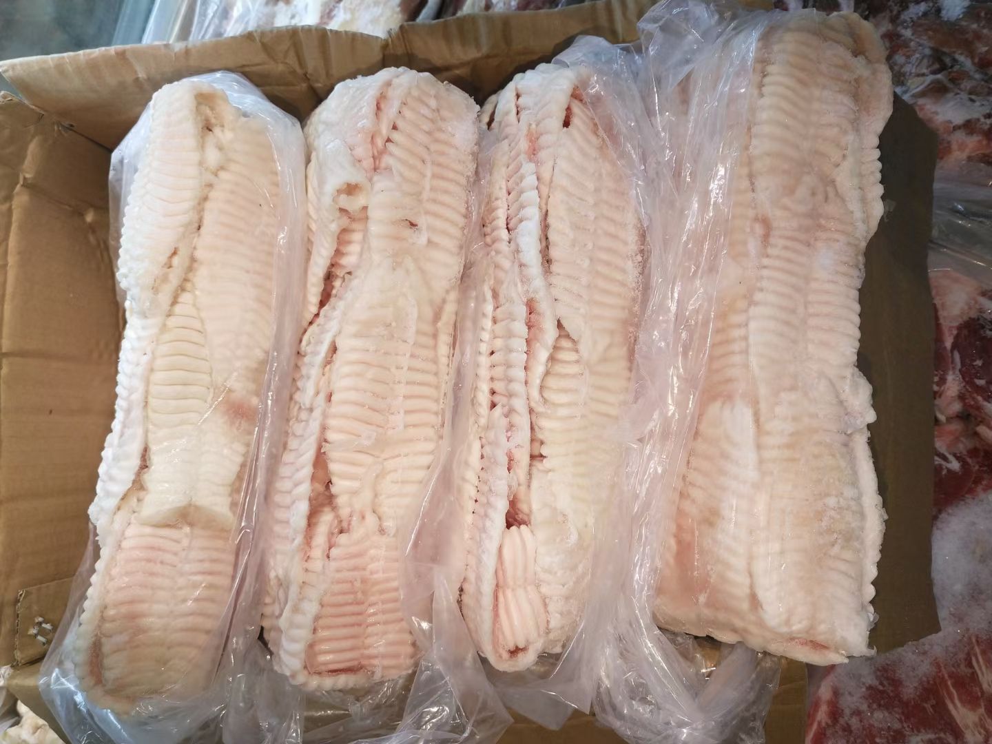 猪天堂无牙无肉