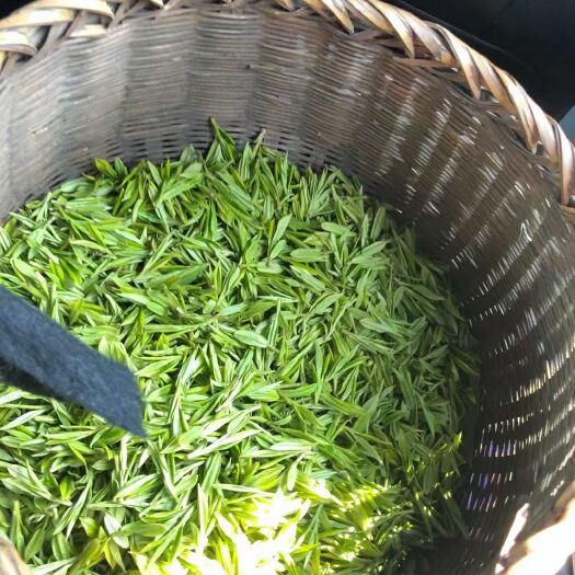 杭州绿茶  2021高山特级龙井茶（3月25日现摘实拍）