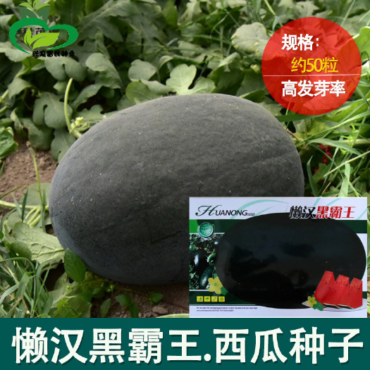河间市黑皮西瓜种子懒汉黑霸王西瓜黑皮瓜农田菜园大果型甜红心椭