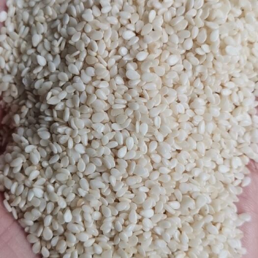 临沂脱皮白芝麻   脱皮熟芝麻仁