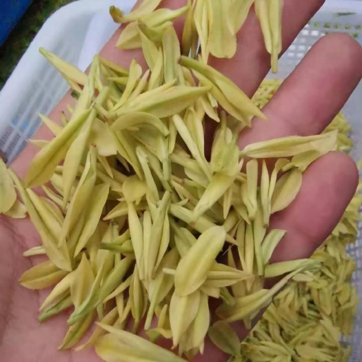 三都县白茶 贵州省黔南布依族苗族自治州三都水族自治县 1-2年 2021-03-25 - 2021-03-25 