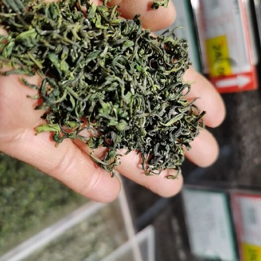 泰安玉露茶  女儿茶