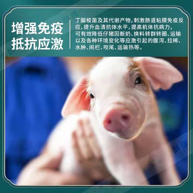 饲料添加剂  仔猪健