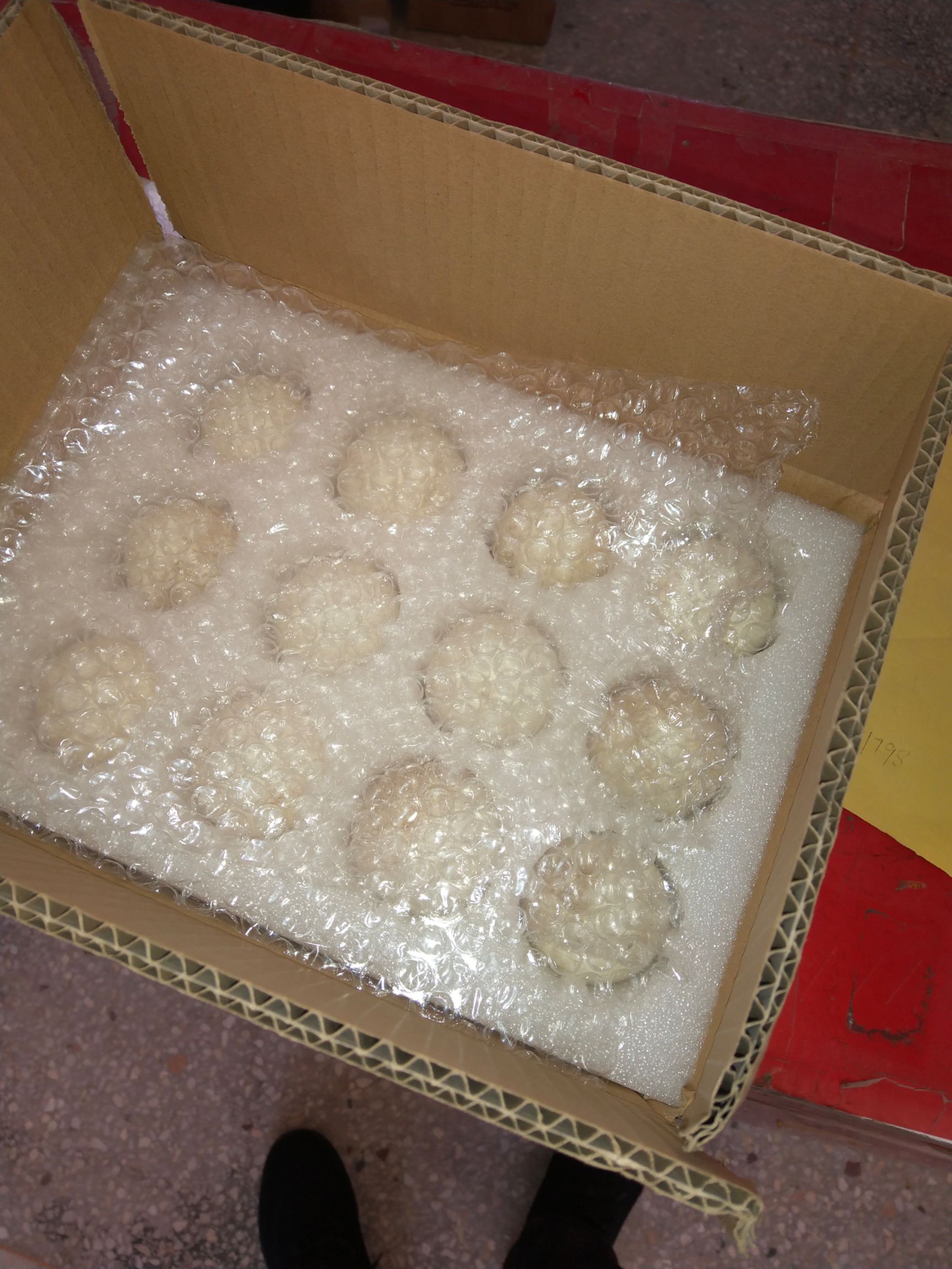 雁鹅种蛋