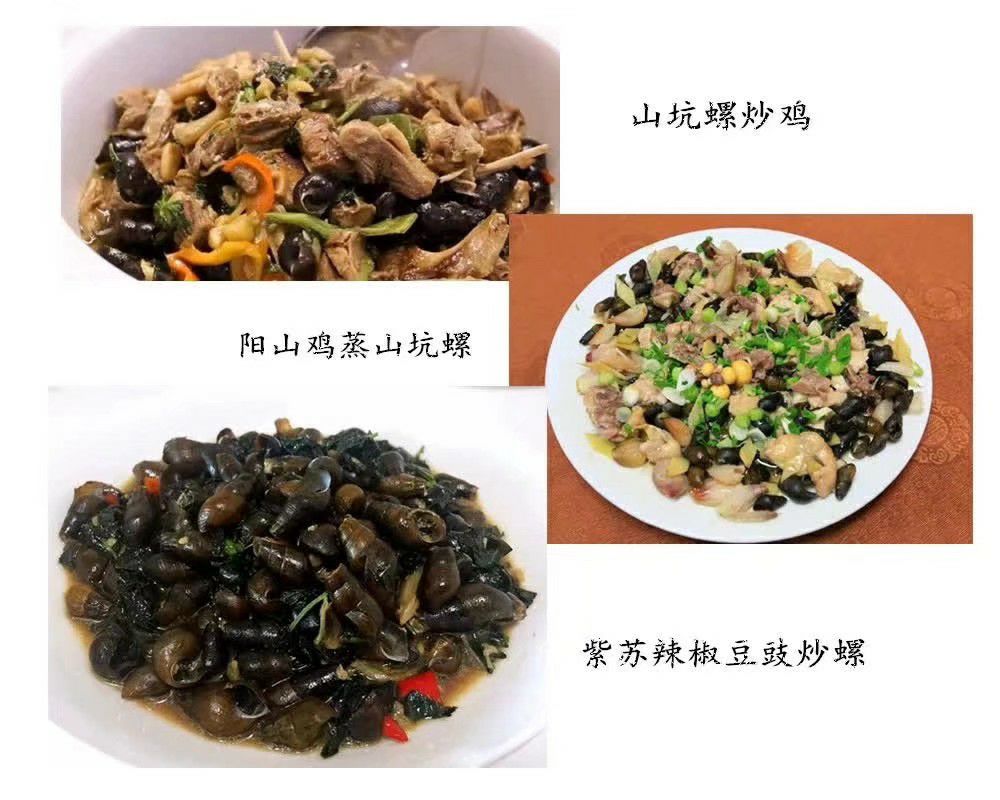 山坑螺 光滑靚麗 有炮頭螺 少量順豐快遞兩廣 水產(chǎn)車全國(guó)各地