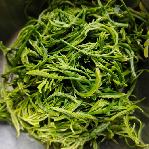臭菜 怕哈