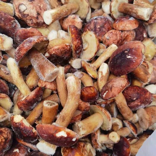 昆明美味牛肝菌  冰冻冰鲜美味牛干菌批发