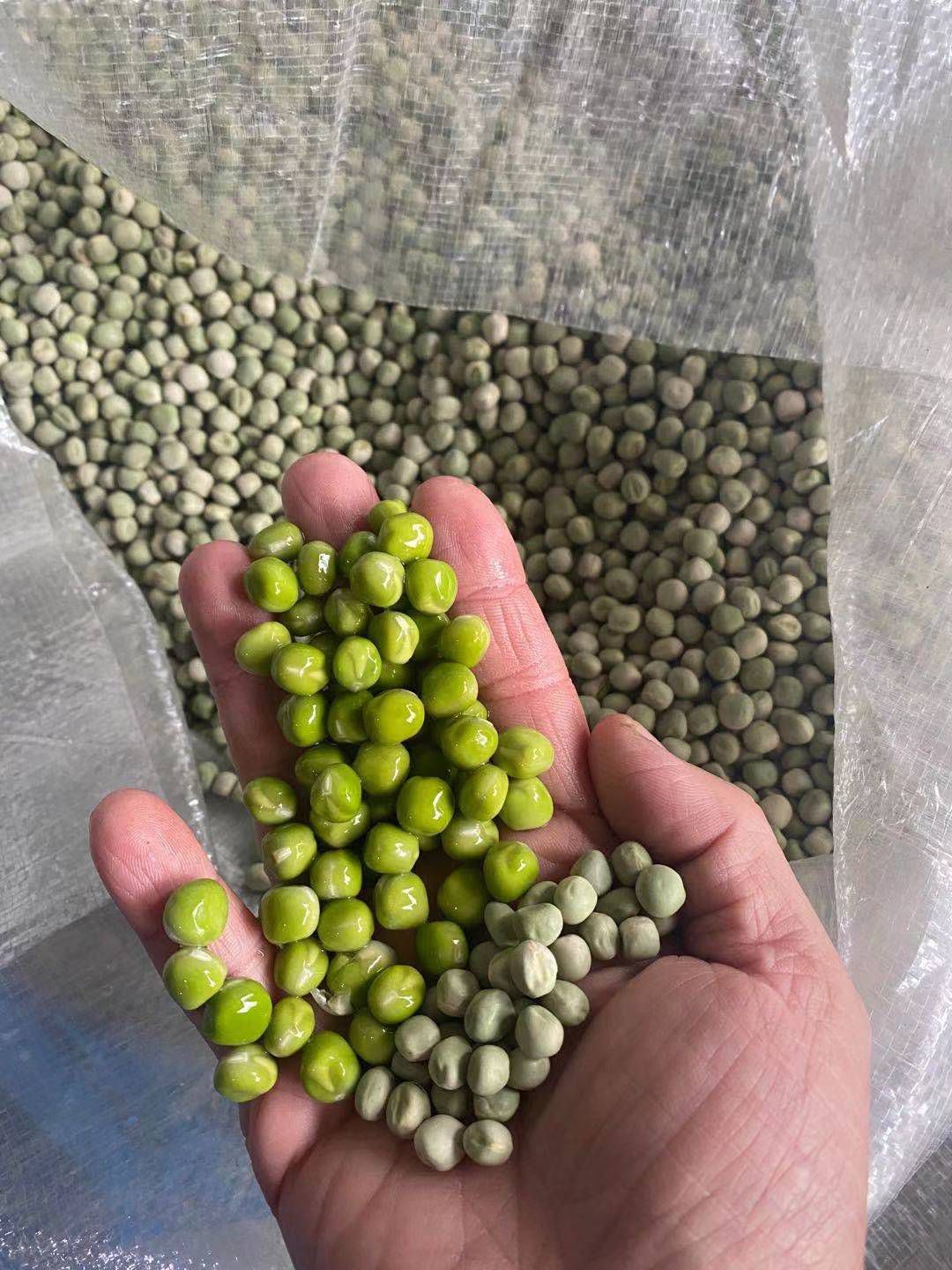 干青豌豆一件96斤
