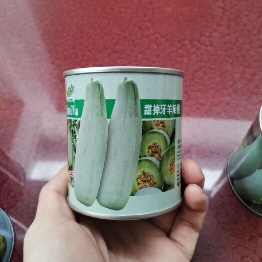 青县羊角蜜甜瓜种子 甜掉牙羊角脆（羊角脆种子）