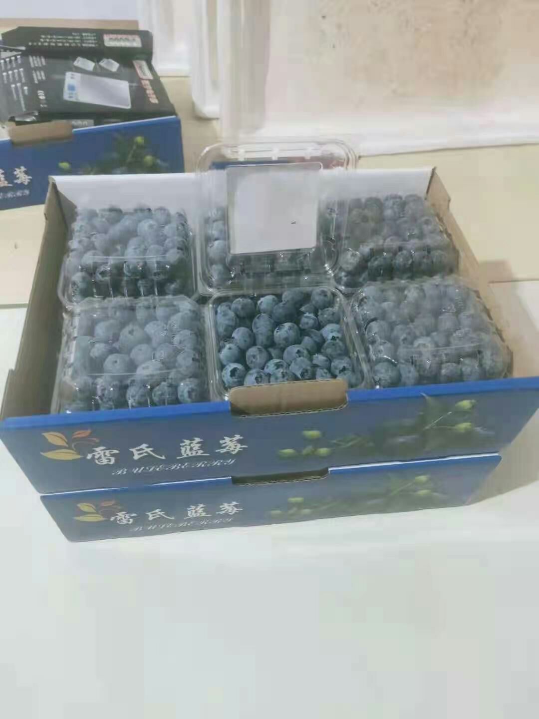 蓝莓几个品种都有产地发货 空运全国 当天到货