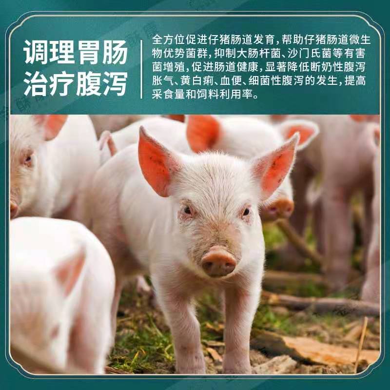 饲料添加剂  仔猪健
