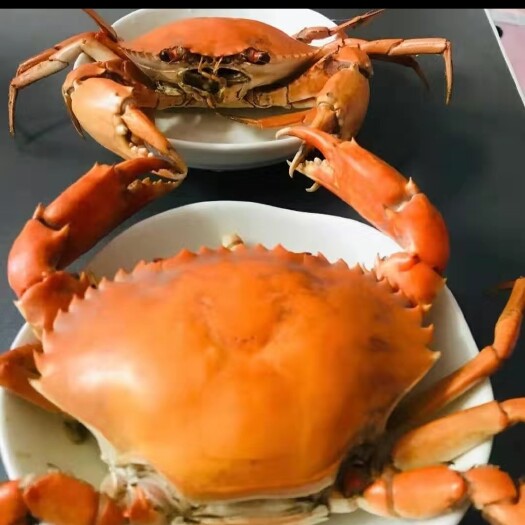三门青蟹公母蟹鲜活特大超大公螃全红母非膏肉呛腿水产蟹产地直发