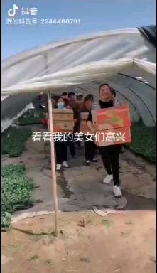 早佳8424西瓜苗   老万西瓜育苗基地，都是精品苗，品种齐