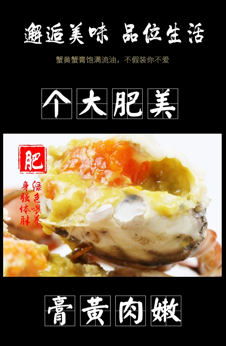青蟹  三门大红膏蟹本地特色红膏红膏蟹鲜活猷蠓蟹特大母螃蟹红膏海鲜