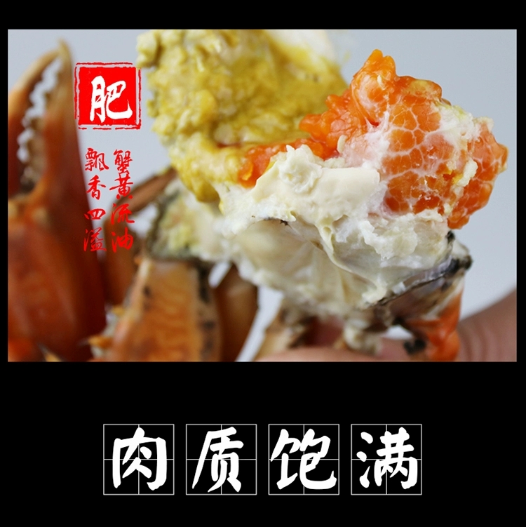 青蟹  三门大红膏蟹本地特色红膏红膏蟹鲜活猷蠓蟹特大母螃蟹红膏海鲜