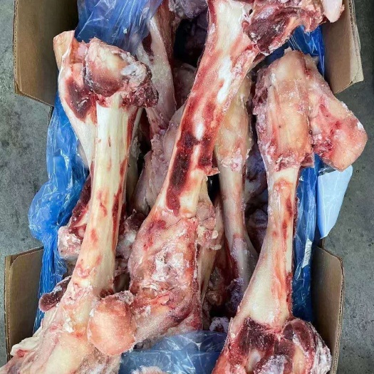 阳信县牛骨  牛棒骨