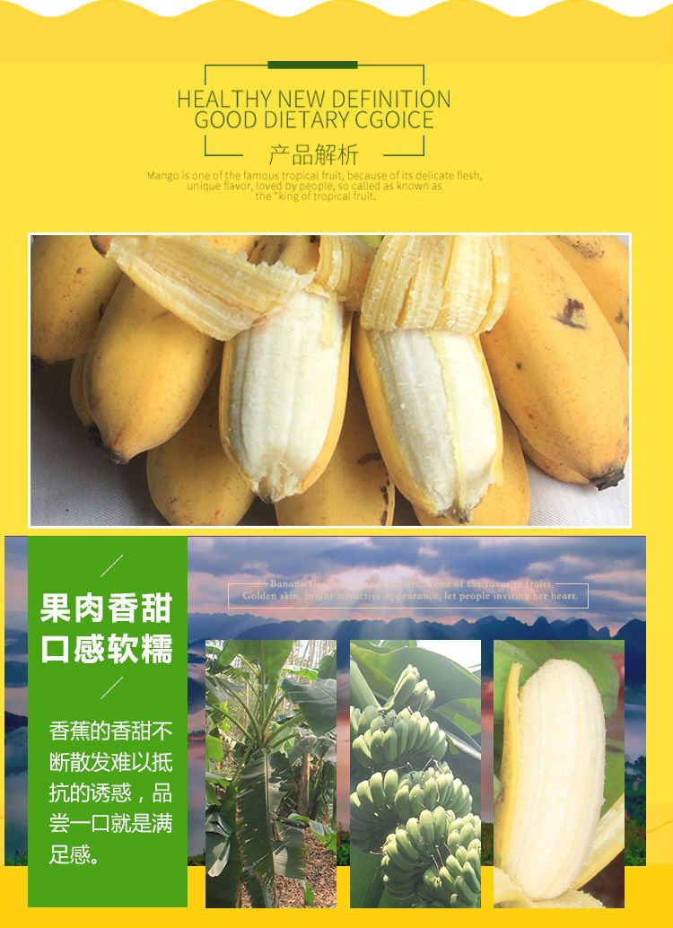 【泡沫箱】广东粉蕉西贡蕉新鲜香蕉水果 现摘现发3斤/5斤/9