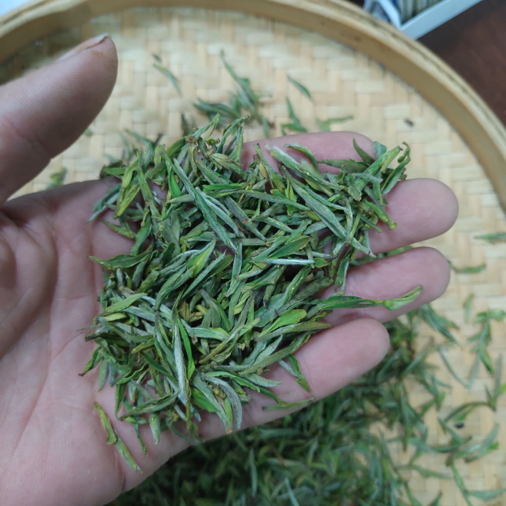 2025年黄山市本土毛峰茶热销中