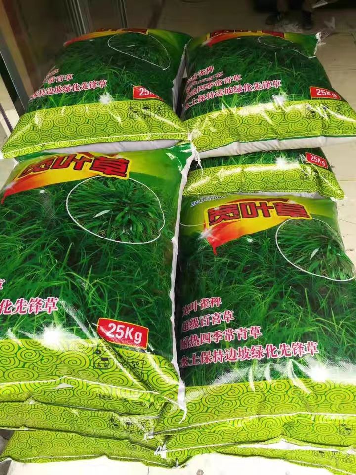 宽叶草种子  宽叶雀稗南方牧草绿肥，和水土保持先锋作物种子