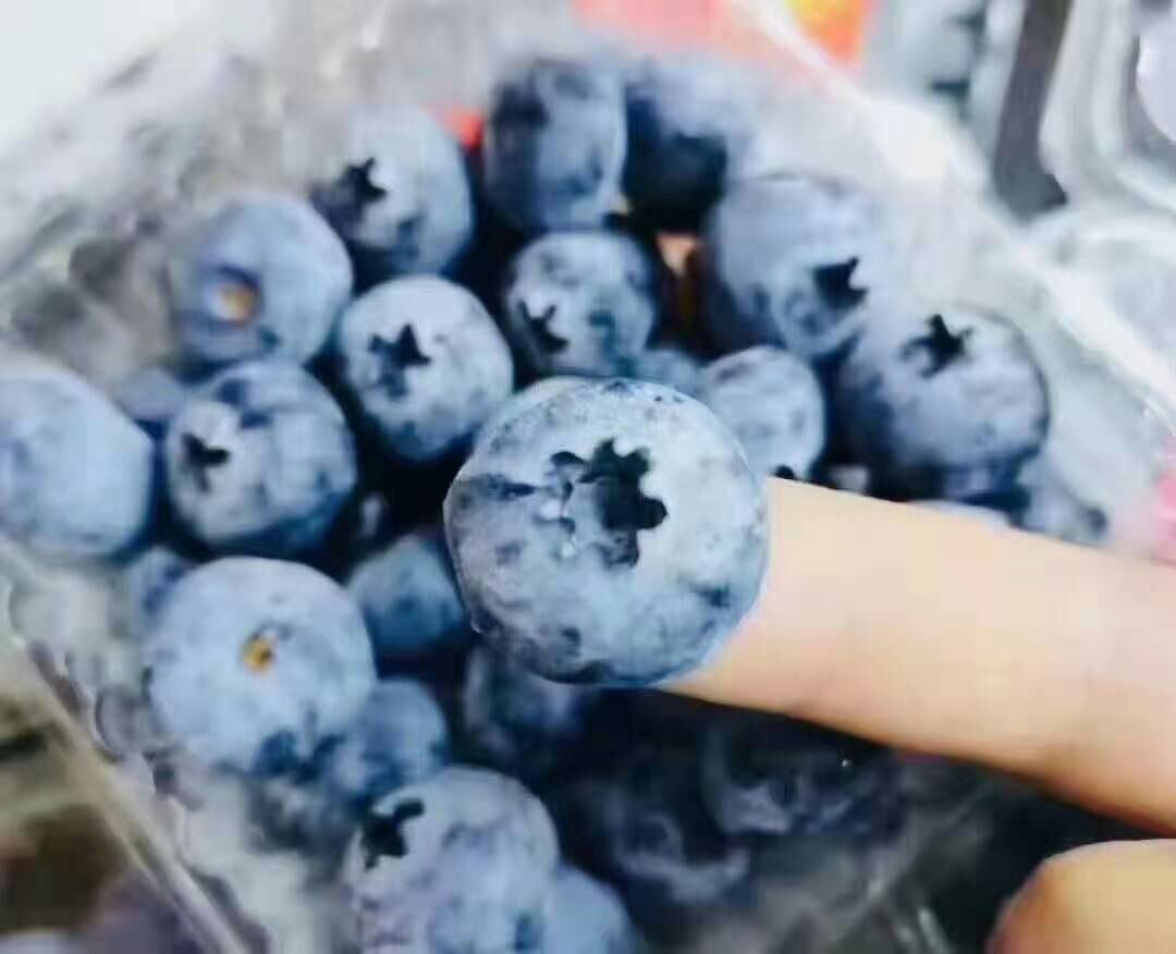 蓝莓几个品种都有产地发货 空运全国 当天到货