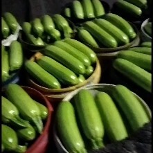 青州市绿皮西葫芦  潍坊青州精品西葫芦大量上市了！3月26日今日价格0.85元