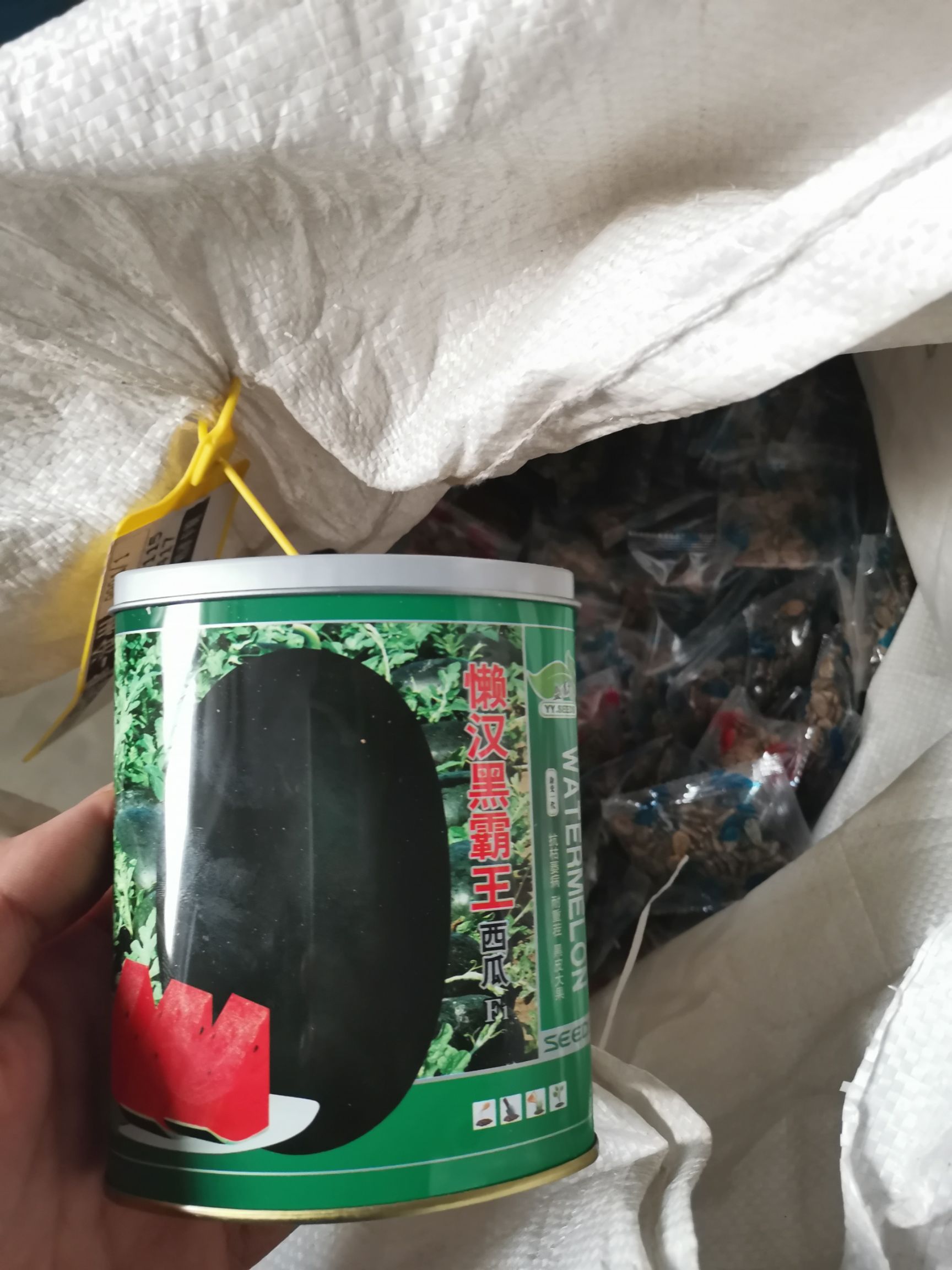  懒汉黑霸王西瓜种子（黑皮西瓜种子，大规模种植）