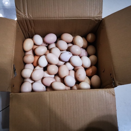 出售700个纯粮食喂养土鸡蛋，低密度喂养，欢迎上门考察
