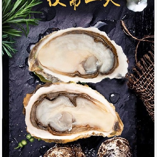 诏安县珍珠蚝  鲜活生蚝发货，下单请提前咨询