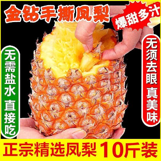 徐闻县香水菠萝  菠萝  电商货 市场货
