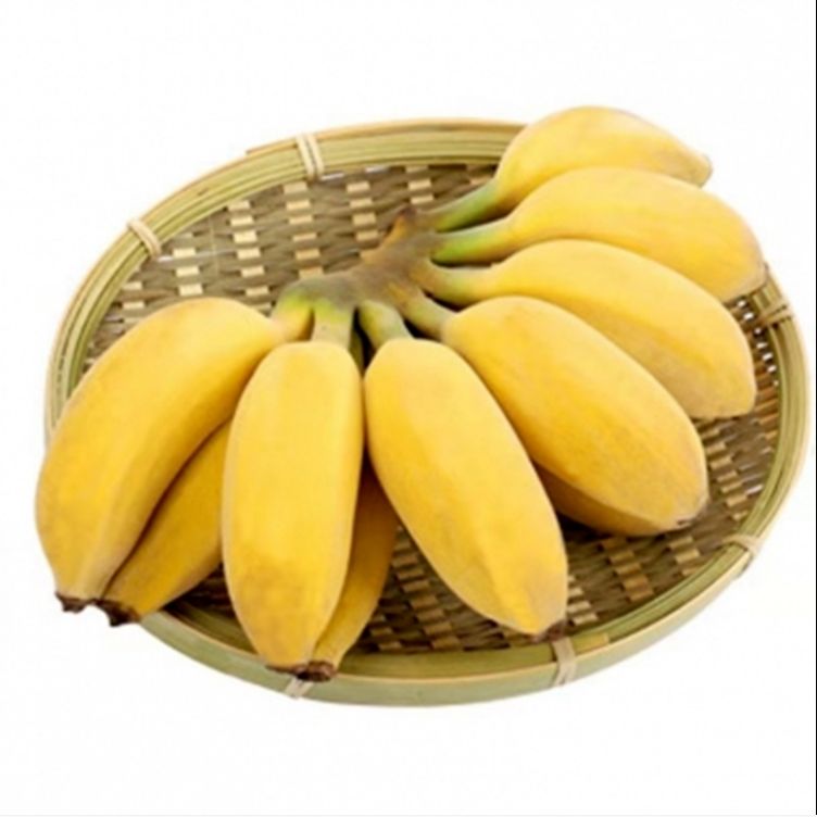 【泡沫箱】广东粉蕉西贡蕉新鲜香蕉水果 现摘现发3斤/5斤/9