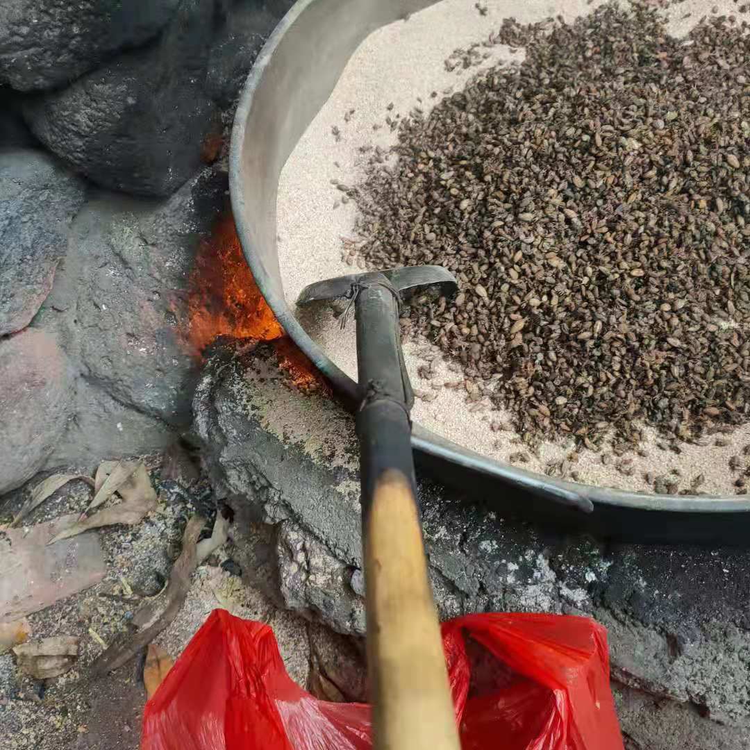 金沙牛蚁狮有10年炒货经验个个都是膨胀金黄色