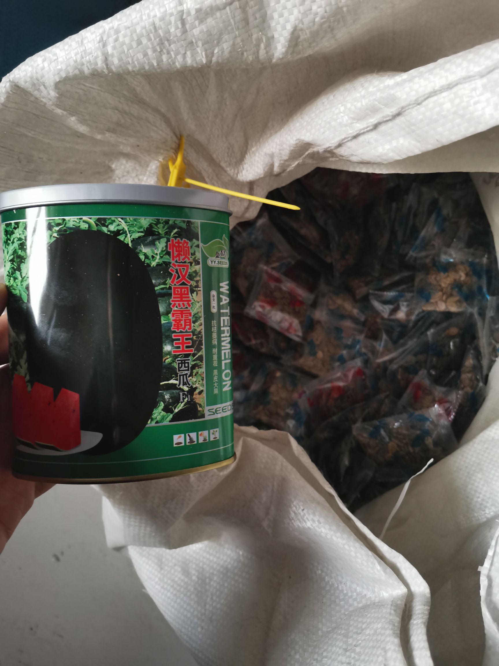  懒汉黑霸王西瓜种子（黑皮西瓜种子，大规模种植）