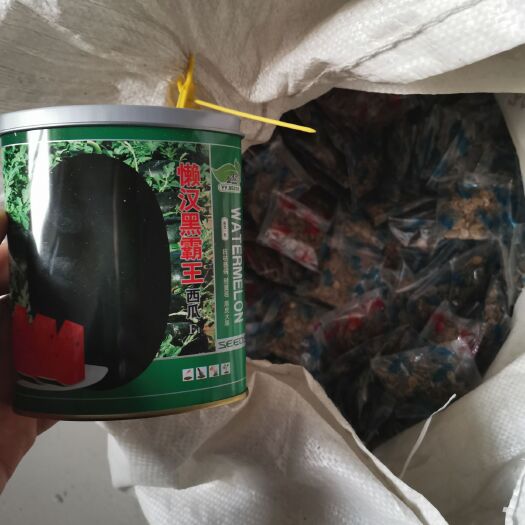 青县 懒汉黑霸王西瓜种子（黑皮西瓜种子，大规模种植）