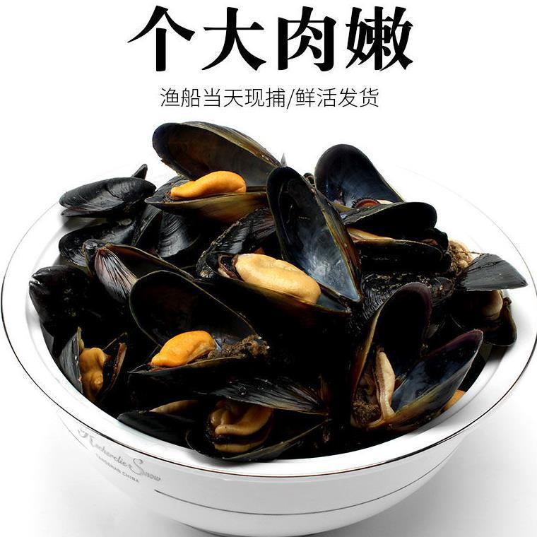 鲜活现捕现发海虹青口贝淡菜码头源产地批发