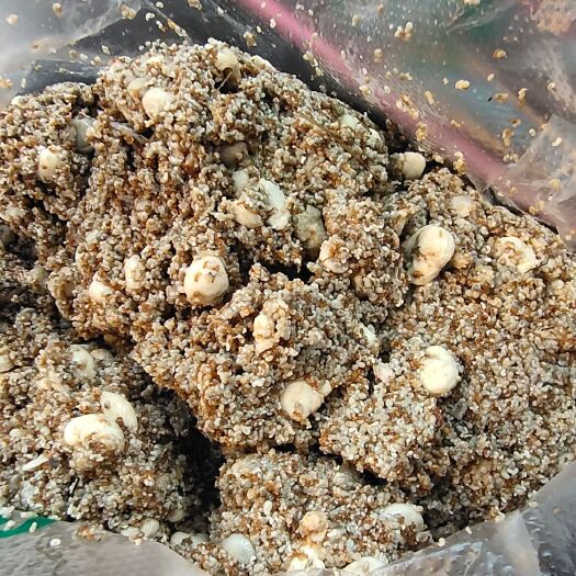 瑞丽市 蚂蚁蛋