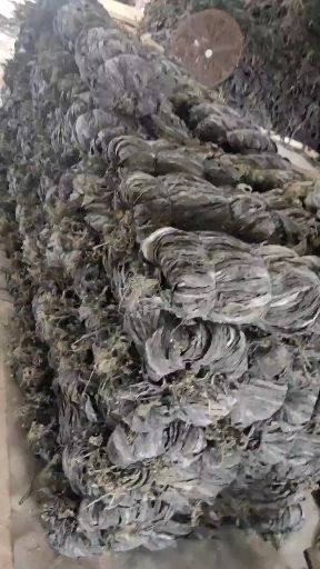 干海带  霞浦海带干，特级挂晒无沙无黄尾，一手货源散装