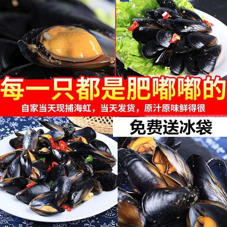 鲜活现捕现发海虹青口贝淡菜码头源产地批发