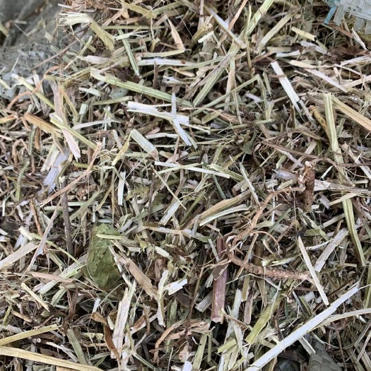 涡阳县 花生秧