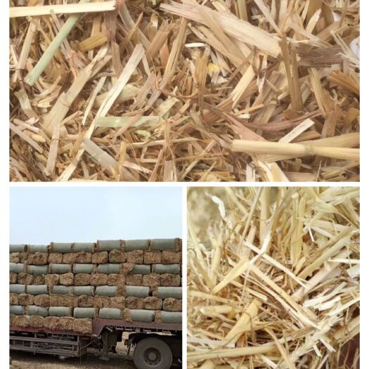 息县小麦秸秆  专业牛羊草料8年以上