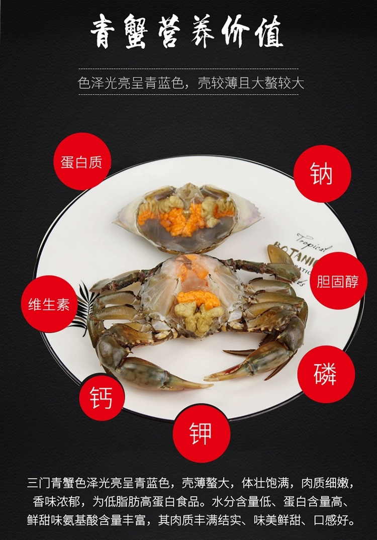 青蟹  三门大红膏蟹本地特色红膏红膏蟹鲜活猷蠓蟹特大母螃蟹红膏海鲜
