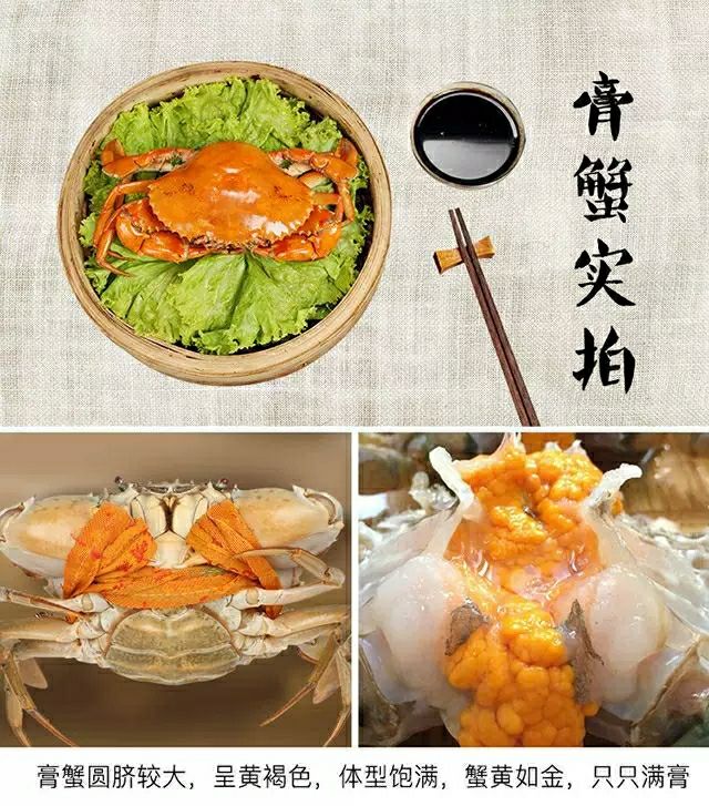 青蟹  三门大红膏蟹本地特色红膏红膏蟹鲜活猷蠓蟹特大母螃蟹红膏海鲜